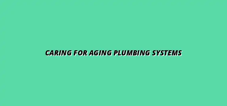 Tips for maintaining old plumbing systems