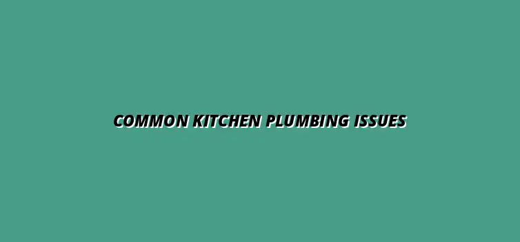 Kitchen plumbing problems that require professional help