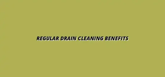 Importance of regular drain cleaning in plumbing maintenance