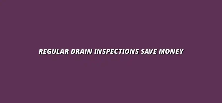 Why regular drain inspections can save you money