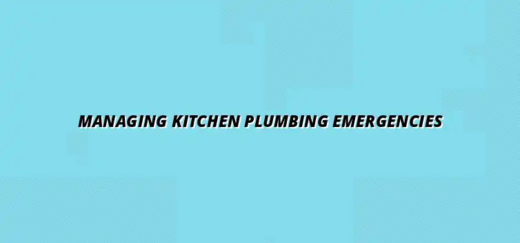 How to handle kitchen plumbing emergencies