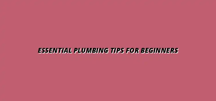 Plumbing maintenance tips for first-time homeowners