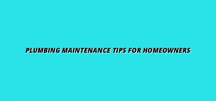 Essential plumbing maintenance tips for homeowners