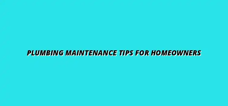 Essential plumbing maintenance tips for homeowners