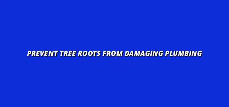 How to prevent tree roots from damaging your plumbing