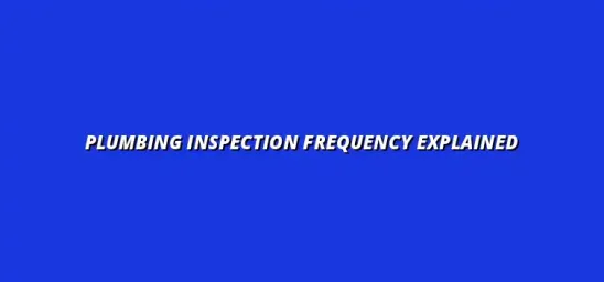 How often should you have your plumbing inspected?