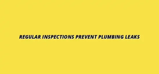 Preventing plumbing leaks with regular inspections