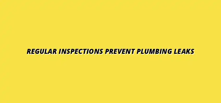 Preventing plumbing leaks with regular inspections