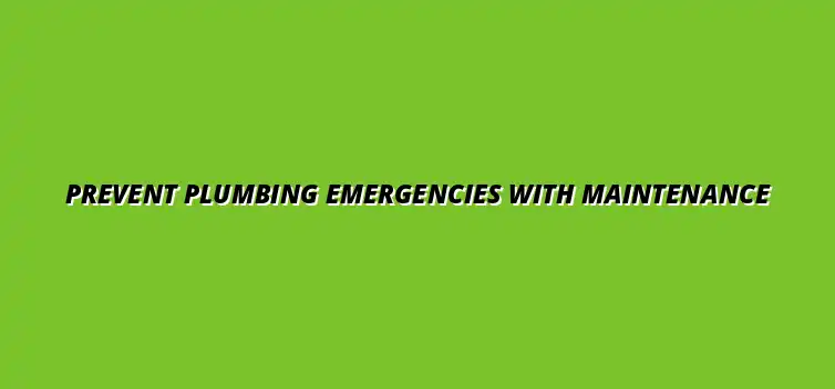 How to avoid plumbing emergencies with regular maintenance